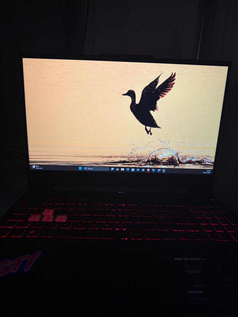 Asus Notebook: Asus tuf gaming laptop – Usato da Vevey venduto da Rass25