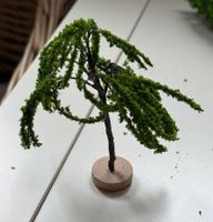 Baum Garten Puppenhaus o Modelleisenbahn