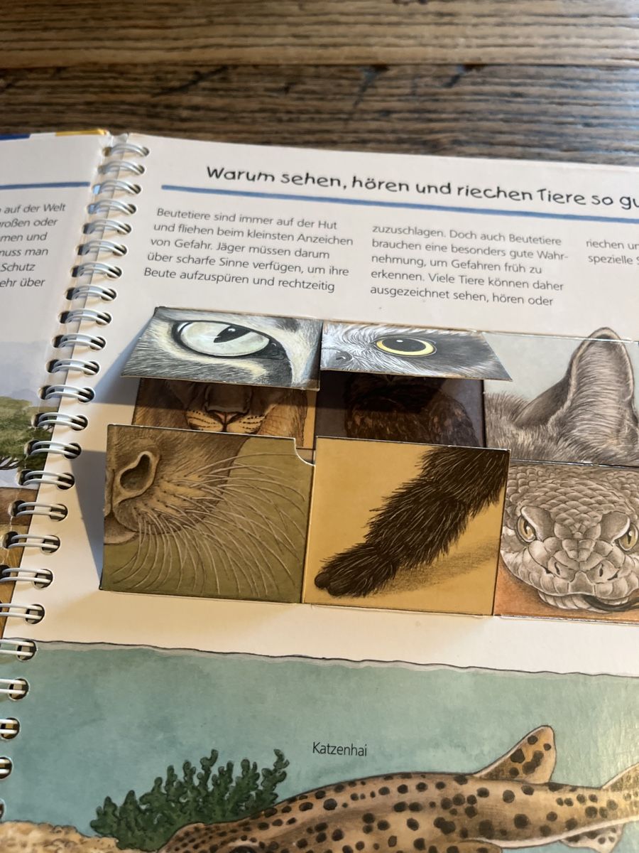 Libri: 4 Kinderbücher "Wir entdecken" von Ravensburger – Usato da Zürich venduto da leoverload 6