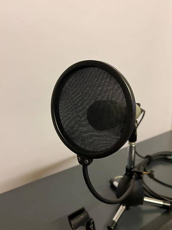 Microfoni: Electro Voice RE 20 Microphone – Usato da Zürich venduto da panda024 1
