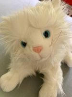 Kuschelweiche Schmusekatze,langfloriger Plüsch