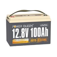 Power Queen 12V 100Ah LiFePO4 Batterie