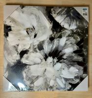 Moderne Leinwand - Blumen - (50cm x 50cm)