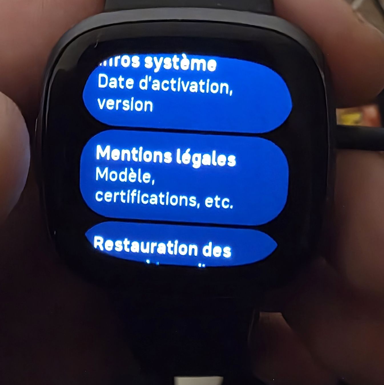 Fitbit Smartwatch: Fitbit Versa 4 ( garantie) – Neu (gemäss Beschreibung) aus Vouvry von ENEtikGaming 2