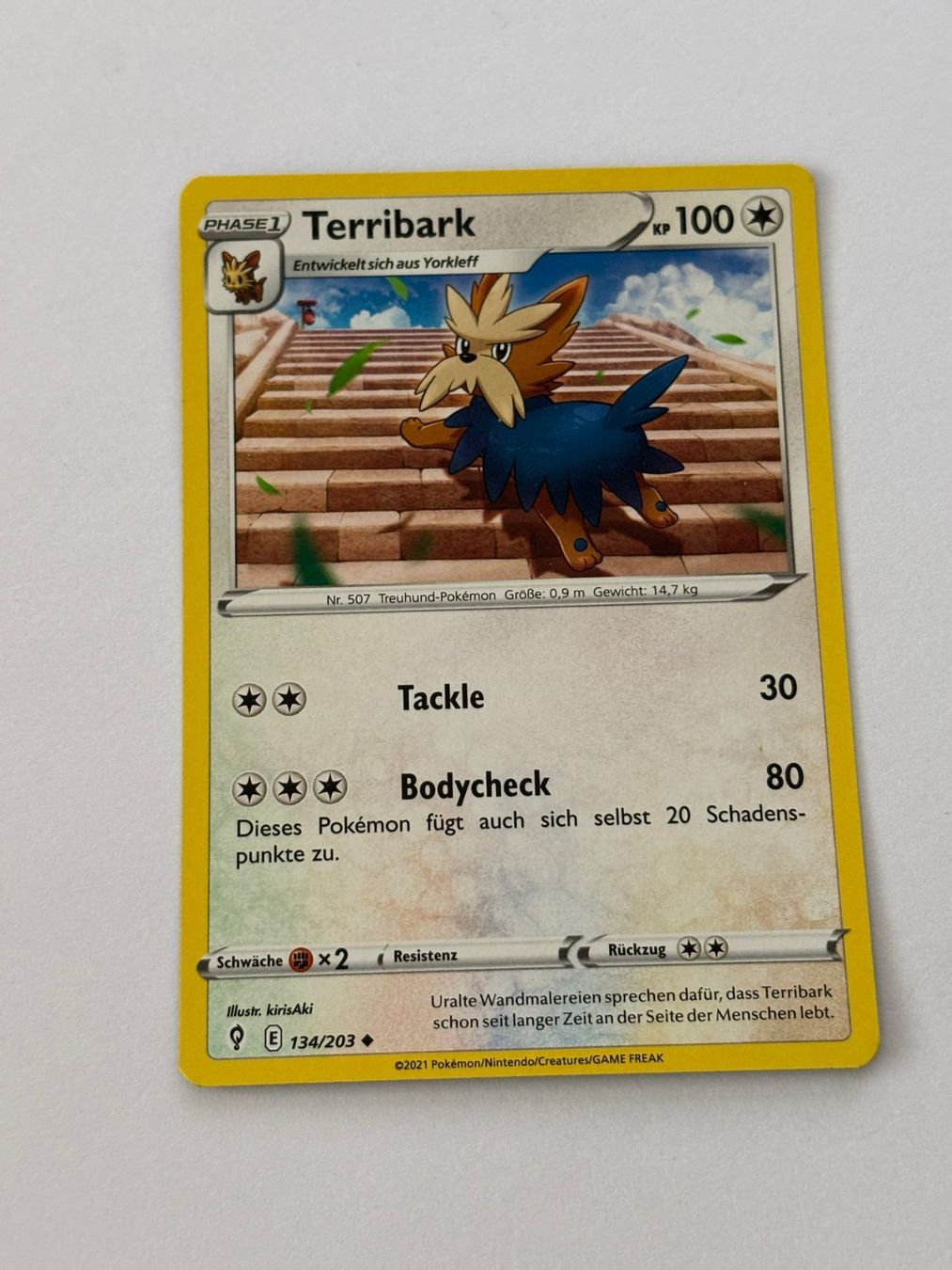 Pokémon Carte collezionabili: Terribark 134/203 – Usato da Herisau venduto da Seyashop_2