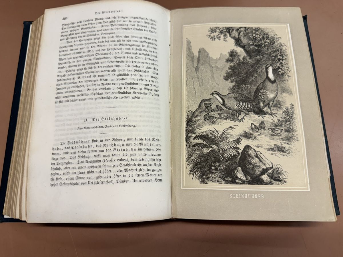 Libri: Buch Das Tierleben der Alpenwelt  1858 – Usato da Chur venduto da Meriva0 7