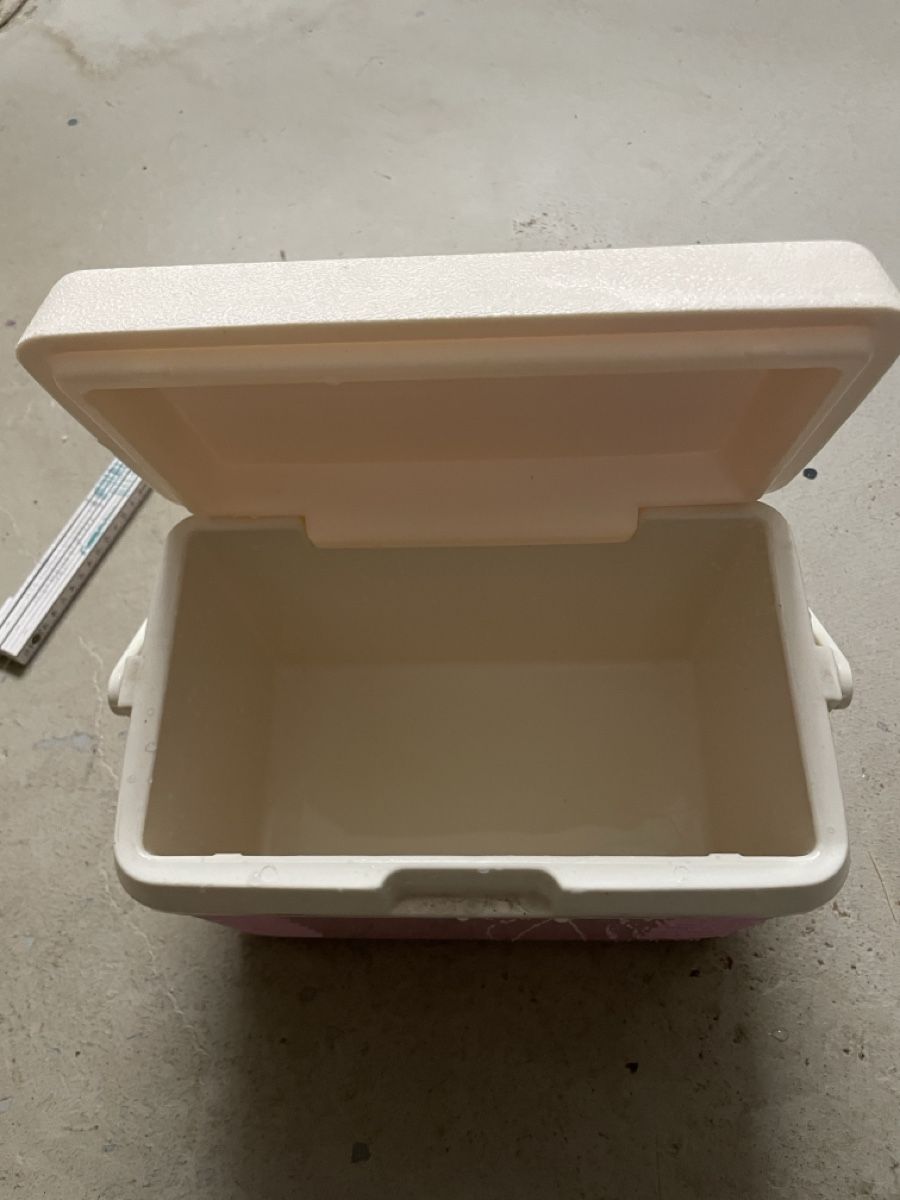 Frigoriferi & Refrigeratori: Kühlbox klein – Usato da Neuenkirch venduto da balani 5