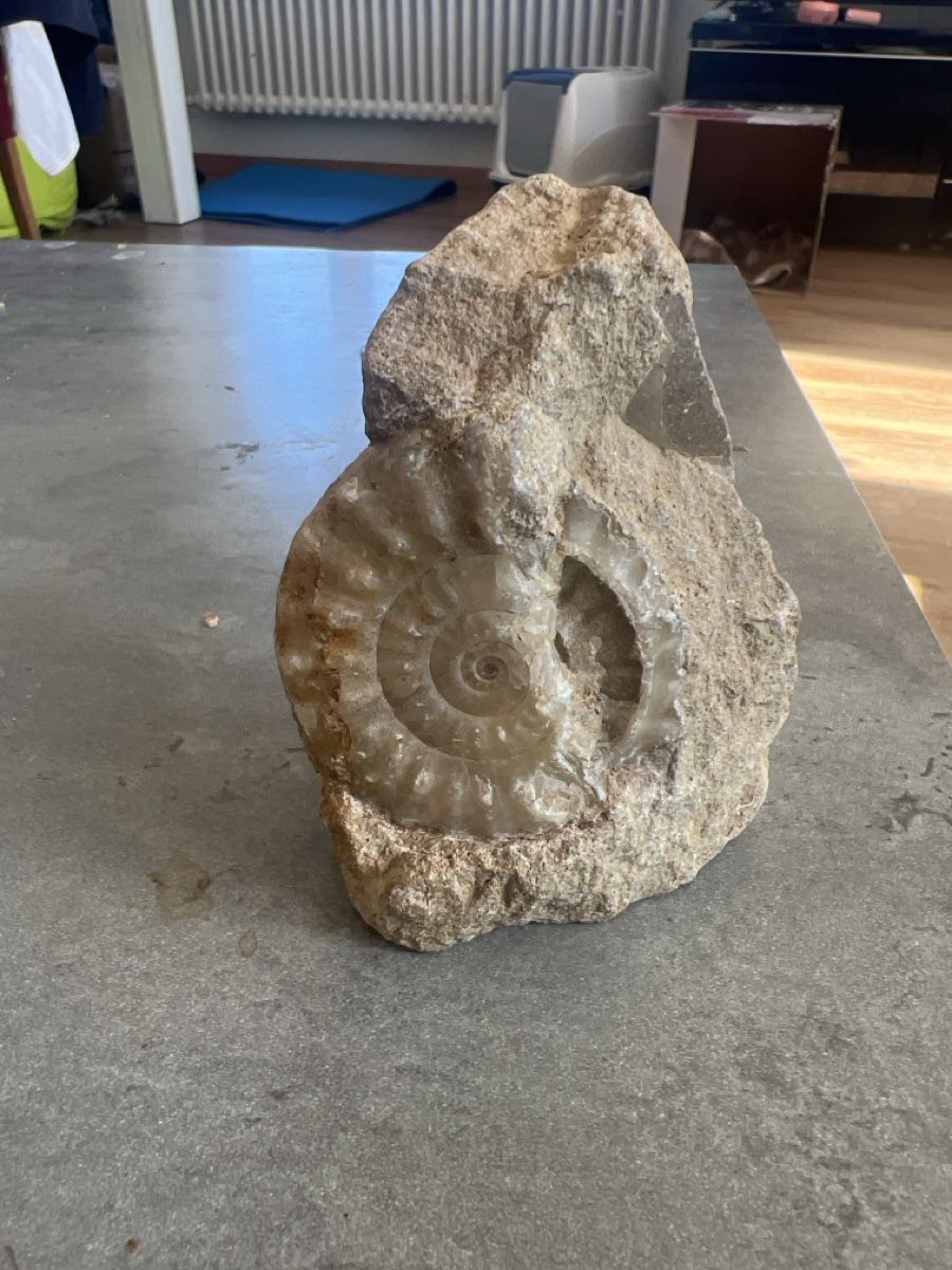 Sculture & Statue: Pièce – Usato da Biel/Bienne venduto da zah_n57l 1