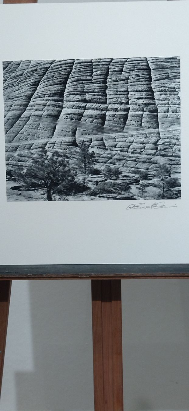 Libri: Portfolio Forest Davis Photographs, 1981 – Usato da Zürich venduto da Top-Deal-Schweiz 3