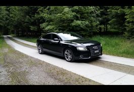 Audi S5, 3.0 TFSI Quattro Frisch ab Mfk