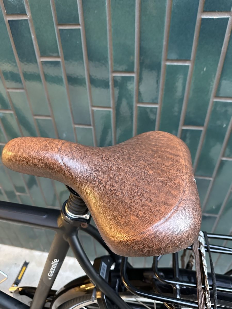 Biciclette: Gazelle Orange plus Velo – Usato da Zürich venduto da dav_dx9c 6