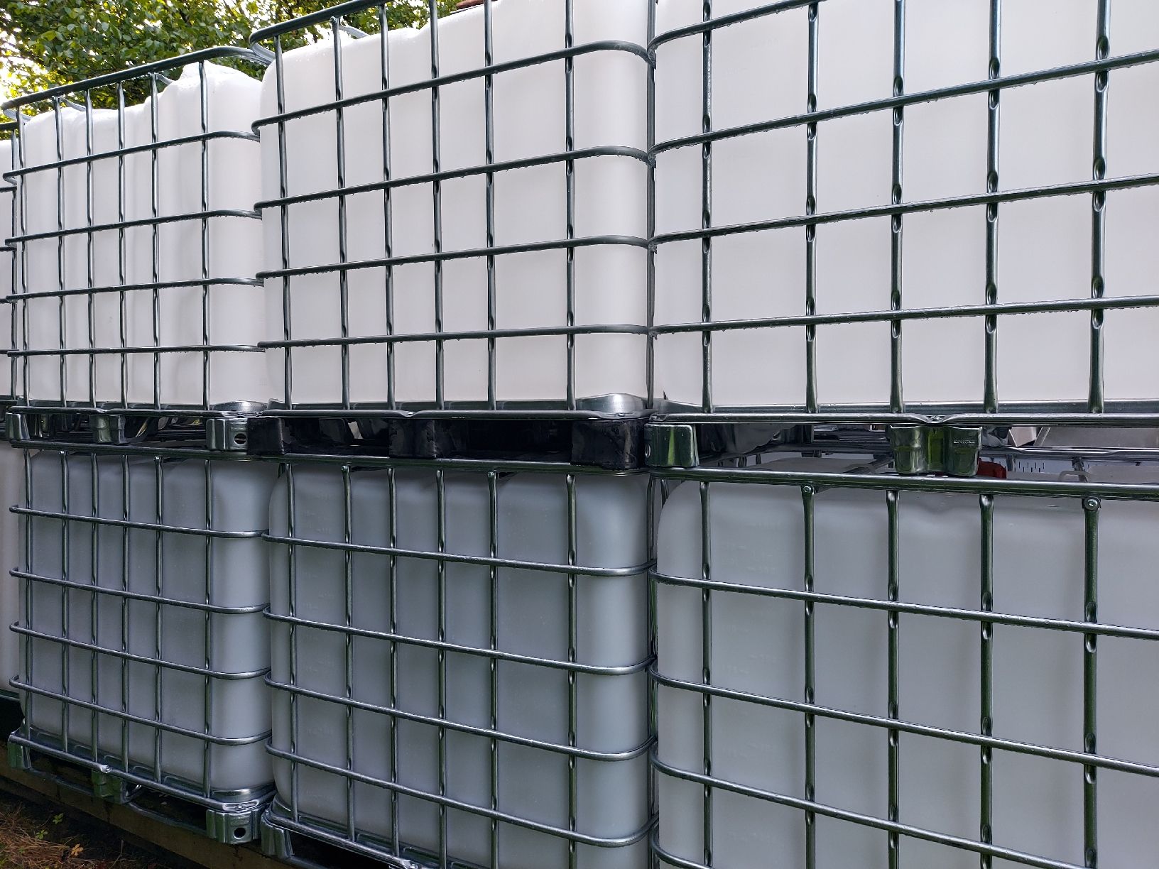 Contenitori edile: IBC Container / Wassertanks – Usato da Wuppenau venduto da Gastro.Wuppenau