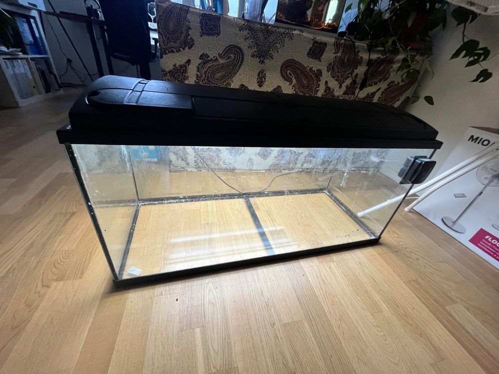 180 Liter Aquarium | Kaufen auf Ricardo