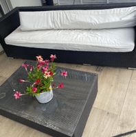 Garten Lounge Set Polyrattan schwarz mit Kissen Zustand gut