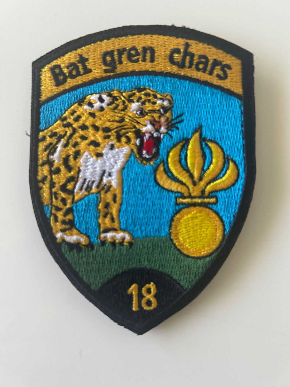 Schweizer Armee Toppe: Patch Panzergrenadiere Schweizer Armee – Usato da Hausen am Albis venduto da MACV62
