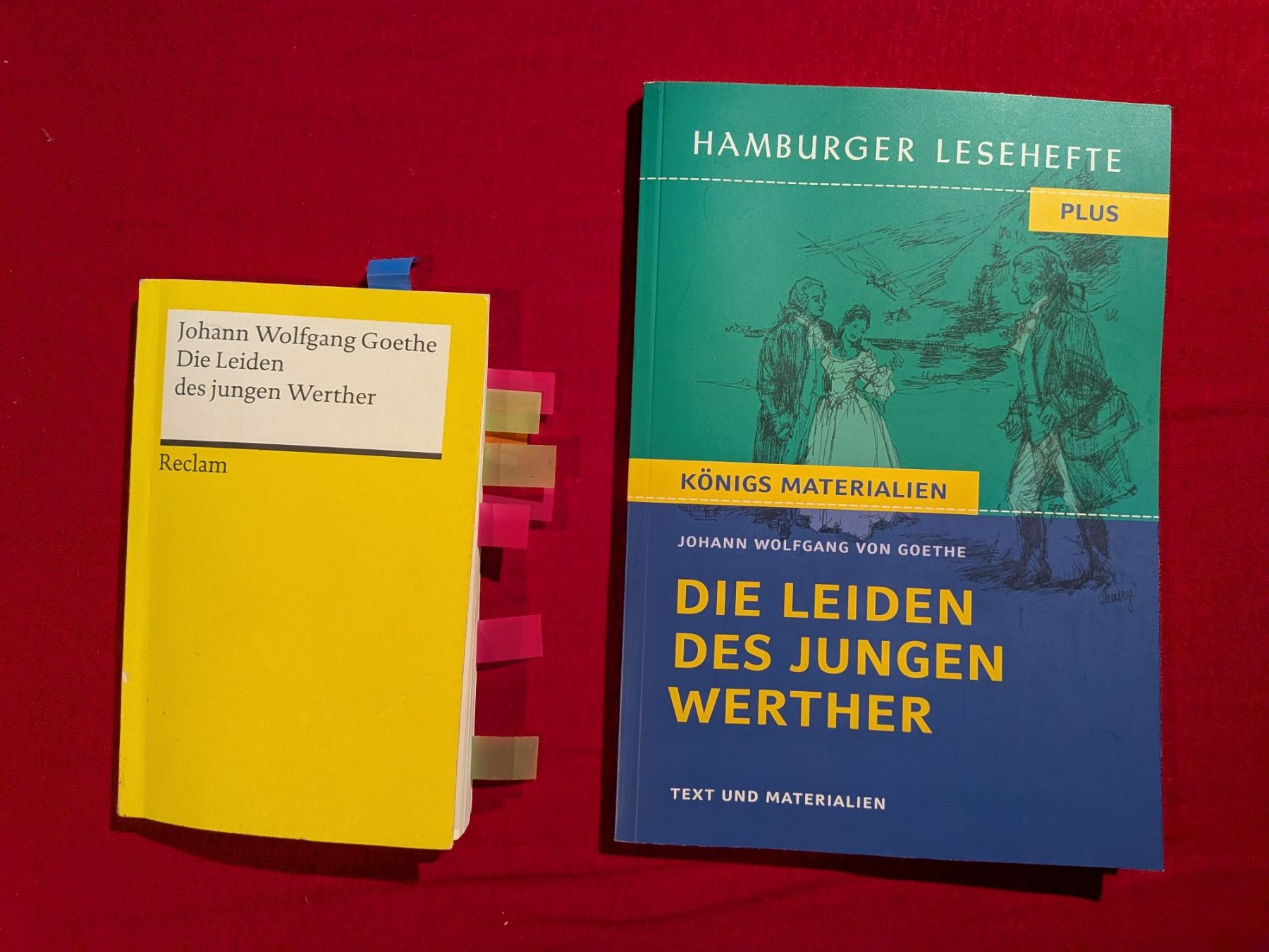 Libri: Die Leiden des jungen Werther – Usato da Herisau venduto da Cookie_9111