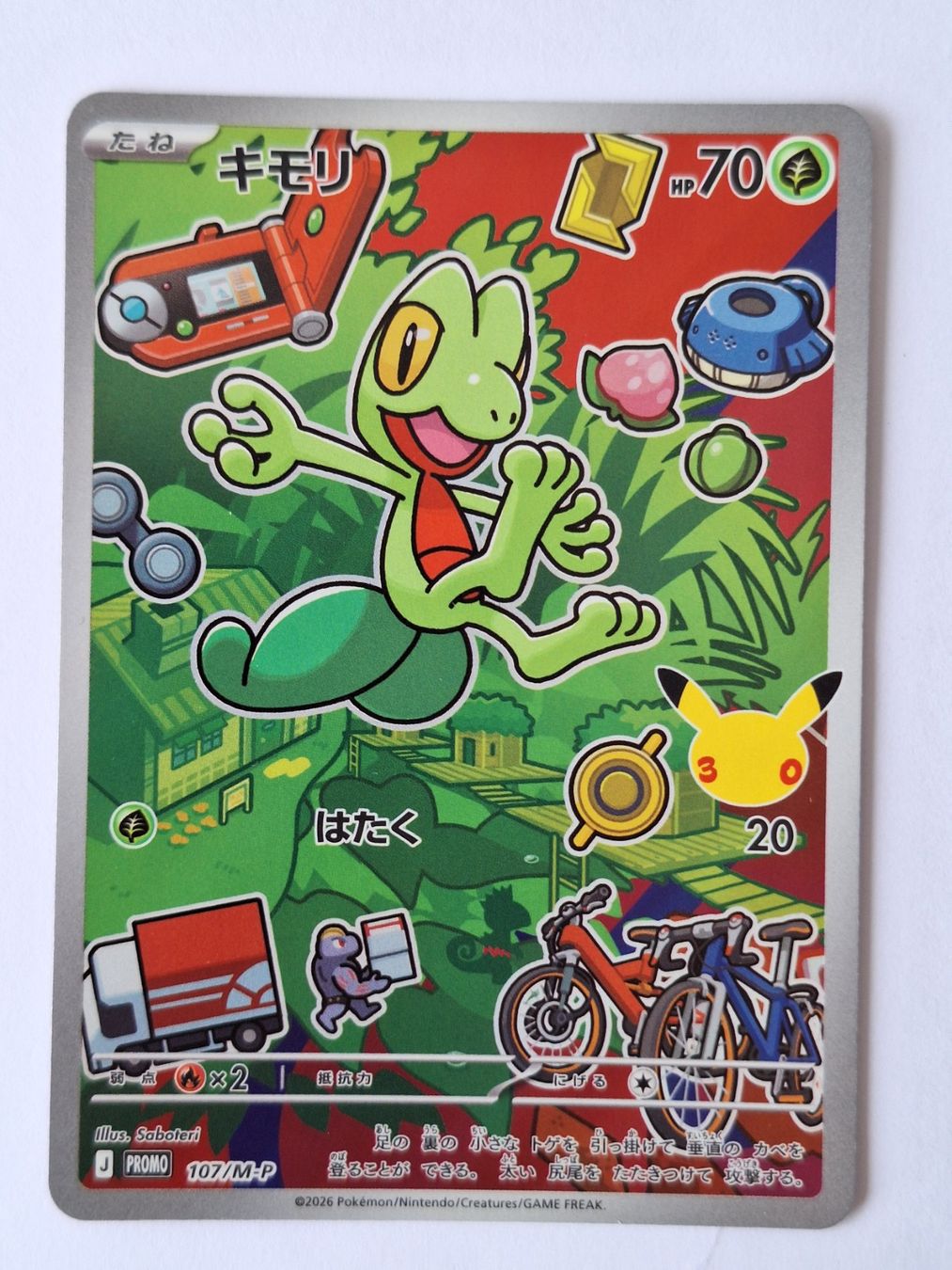 Pokémon Sammelbilder & Trading cards: Pokémon First Partner Serie Gen. 3 Torchic, Mudkip, Treecko – Gebraucht aus Gross von Lybeat 2