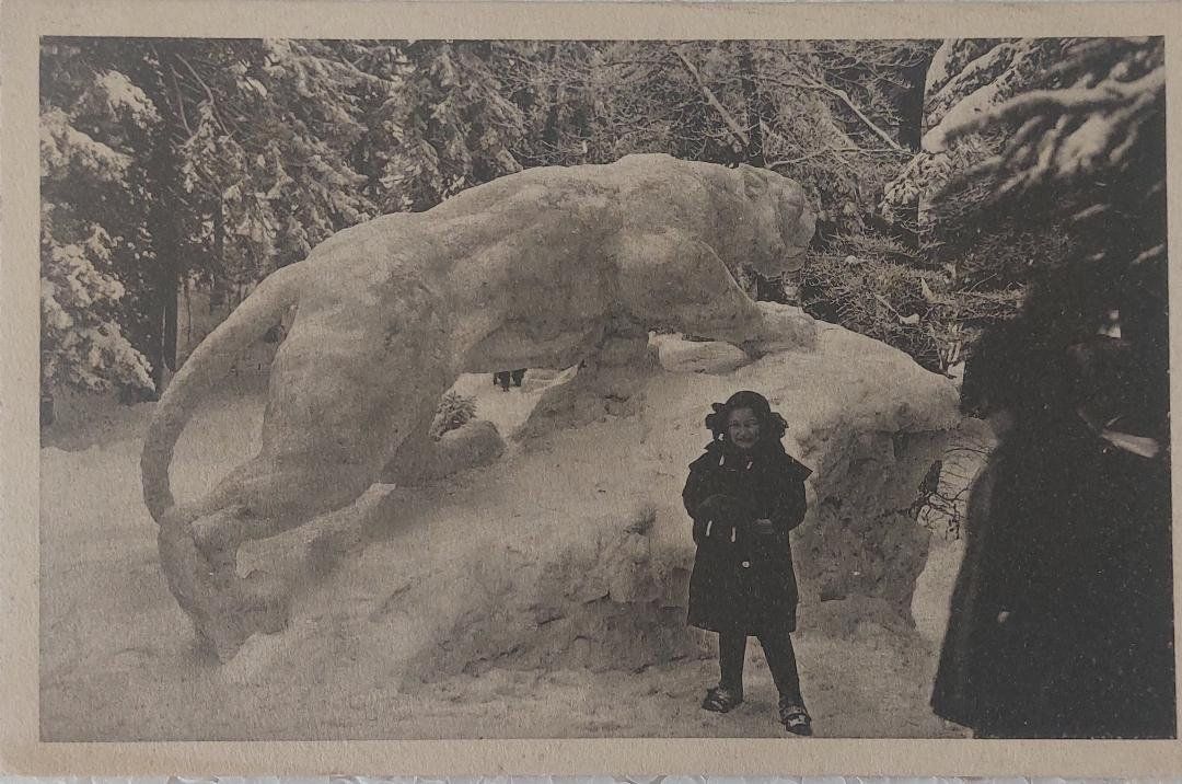 Cartoline postali: LA CHAUX-DE-FONDS - Monuments de neige – Usato da Delémont venduto da Domdom1