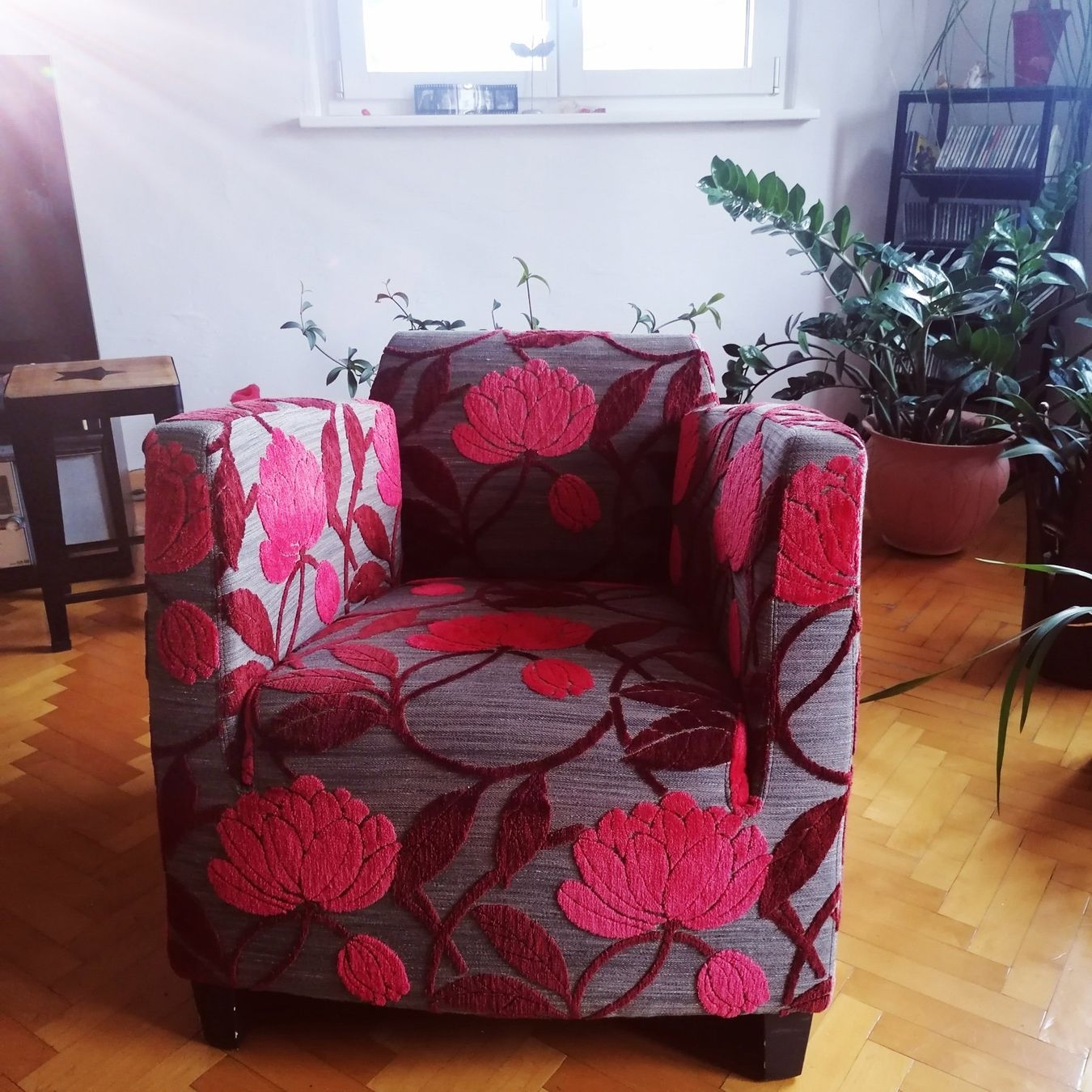 Poltrone: Sessel  - 2 Stück gleich – Usato da Niederurnen venduto da bambam97 2