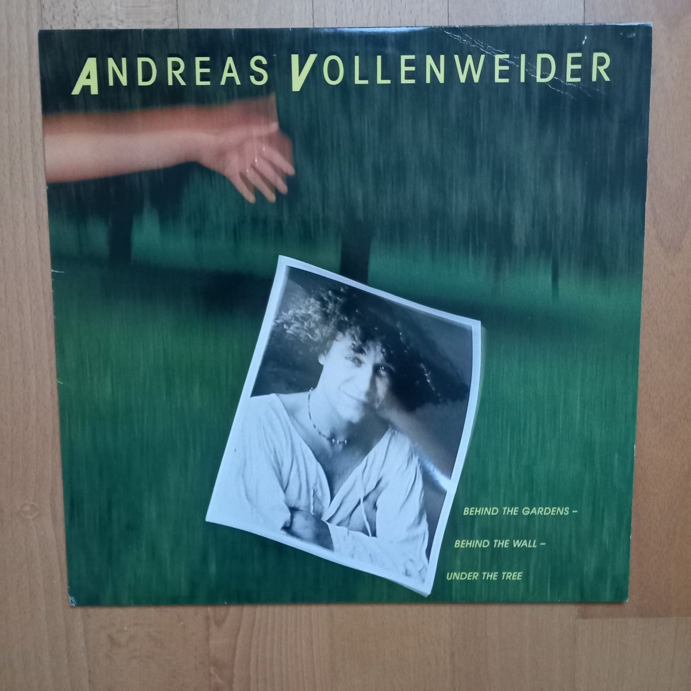Schallplatten: Andreas Vollenweider - Behind The Gardens – Gebraucht aus Arbon von pendulum