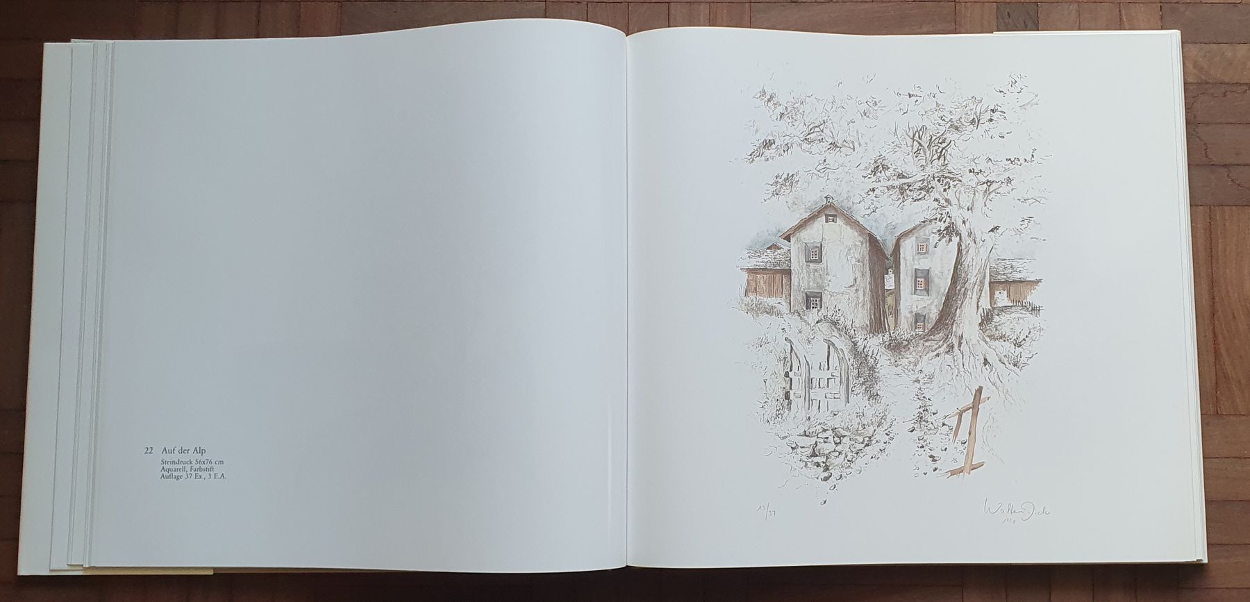 Libri: Buch - Walter Dick - Steinige Bergwelt – Usato da Kreuzlingen venduto da Rschweiz1 4