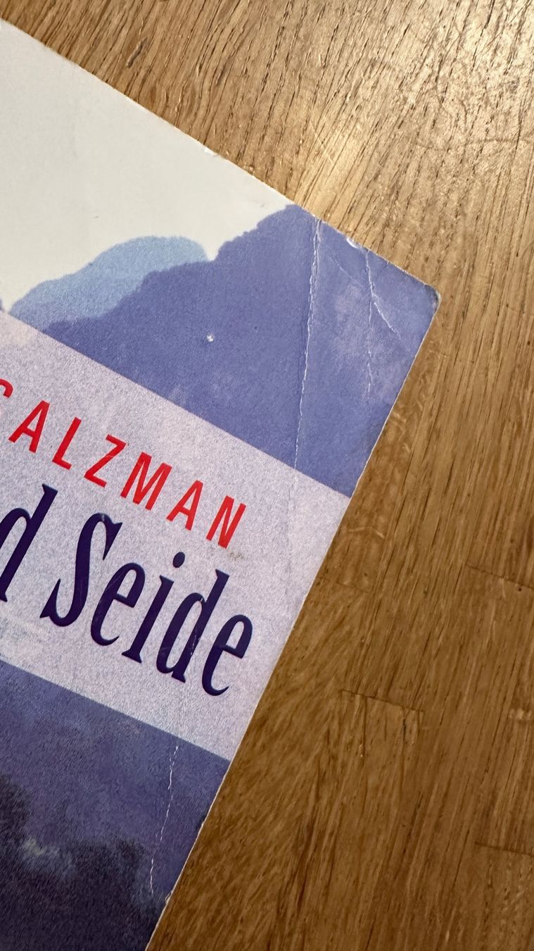 Libri: Buch - Eisen und Seide Mark Salzman – Usato da Winterthur venduto da Secondhand-Family 8