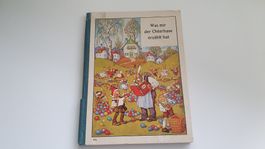 Was mir der Osterhase erzählt hat - Ein schönes Osterbuch