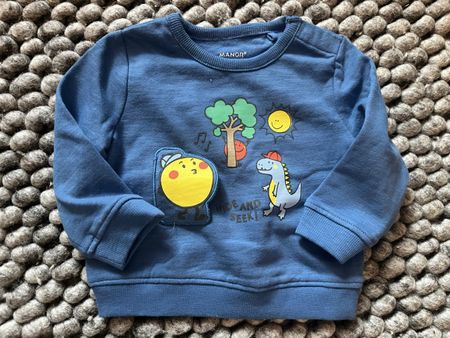 Baby Pullover in blau Gr. 68 mit Entdeckermotiv