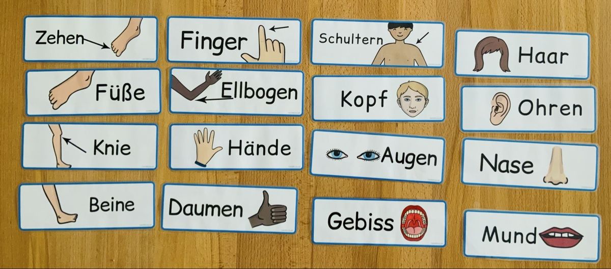 Giochi: Bilder - Lernkarten, ca170 stk. Deutsch, laminiert, – Nuovo (secondo la descrizione) da Lufingen venduto da lotzstef 4