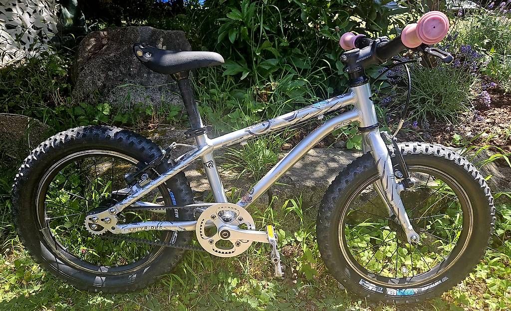 Vélos: Early Rider Belter (16") – D'occasion à Arlesheim par surf-n-snow