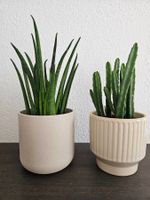 Übertöpfe aus Keramik (Beige)