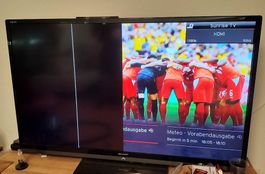 Sharp 65" TV defekt