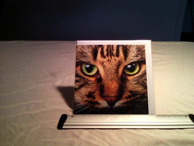 Cartes: Katze – Neuf (Voir description) à Liesberg par Concombres8478