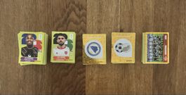 730 Paninis WM 2026 