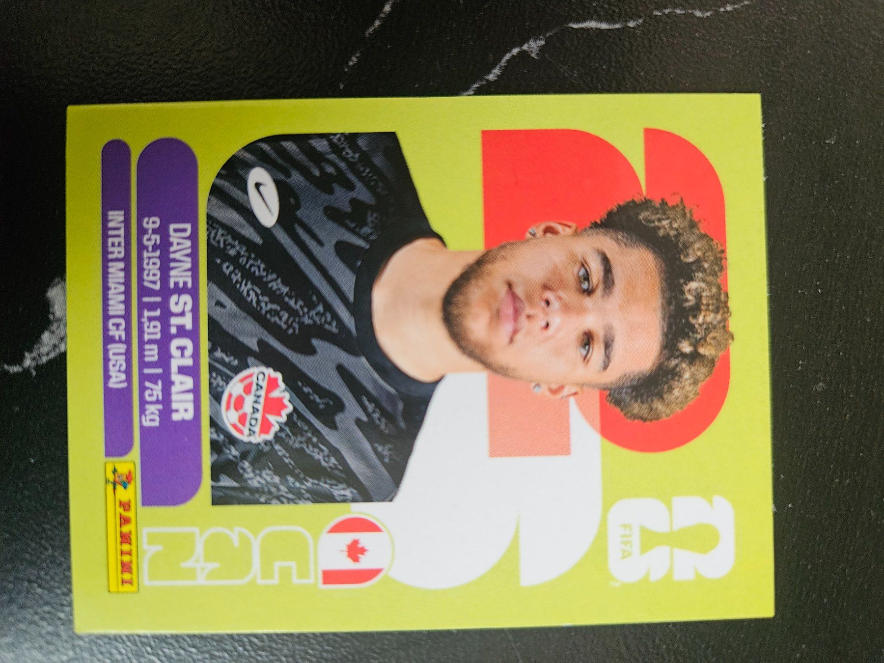 Panini Cartes à collectionner: CAN2 – D'occasion à Würenlingen par Dinli