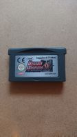 Dynasty Warriors Advance 