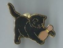 Katze, Pin