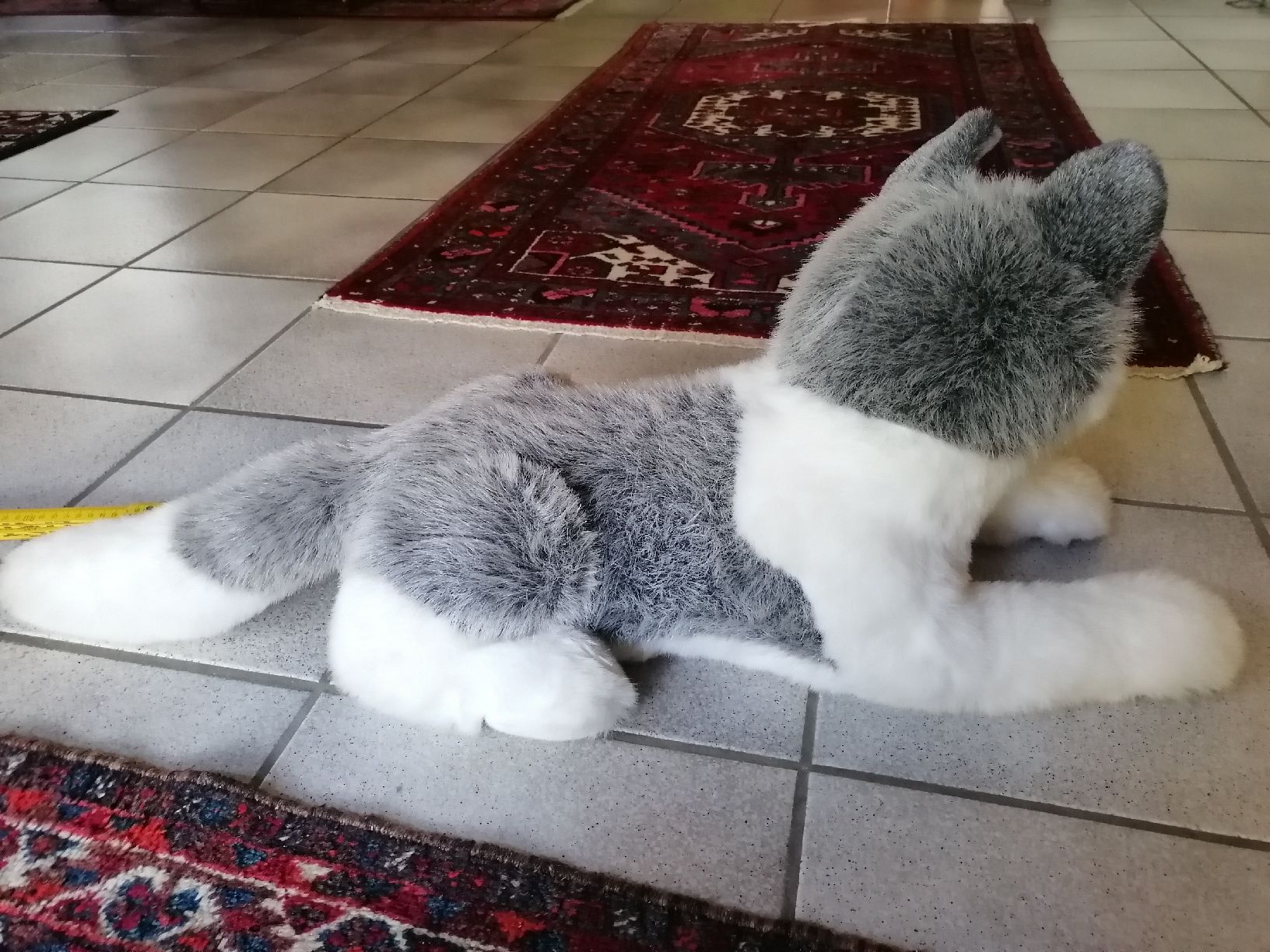 Steiff Spielzeuge: Steiff Hund Husky Sehr Gross – Gebraucht aus Biberist von troedlerheinz 2