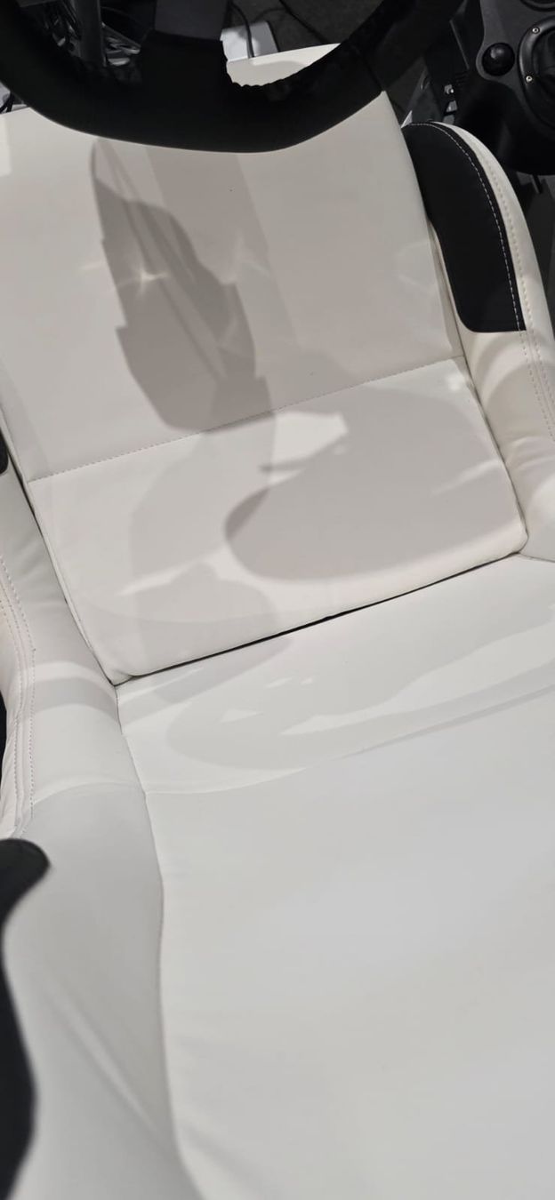 Playseat Stühle: Playseat Evolution + Logitech G920 + Shifter + Pédales + Tap – Neu (gemäss Beschreibung) aus Vernier von log_6bf7 7