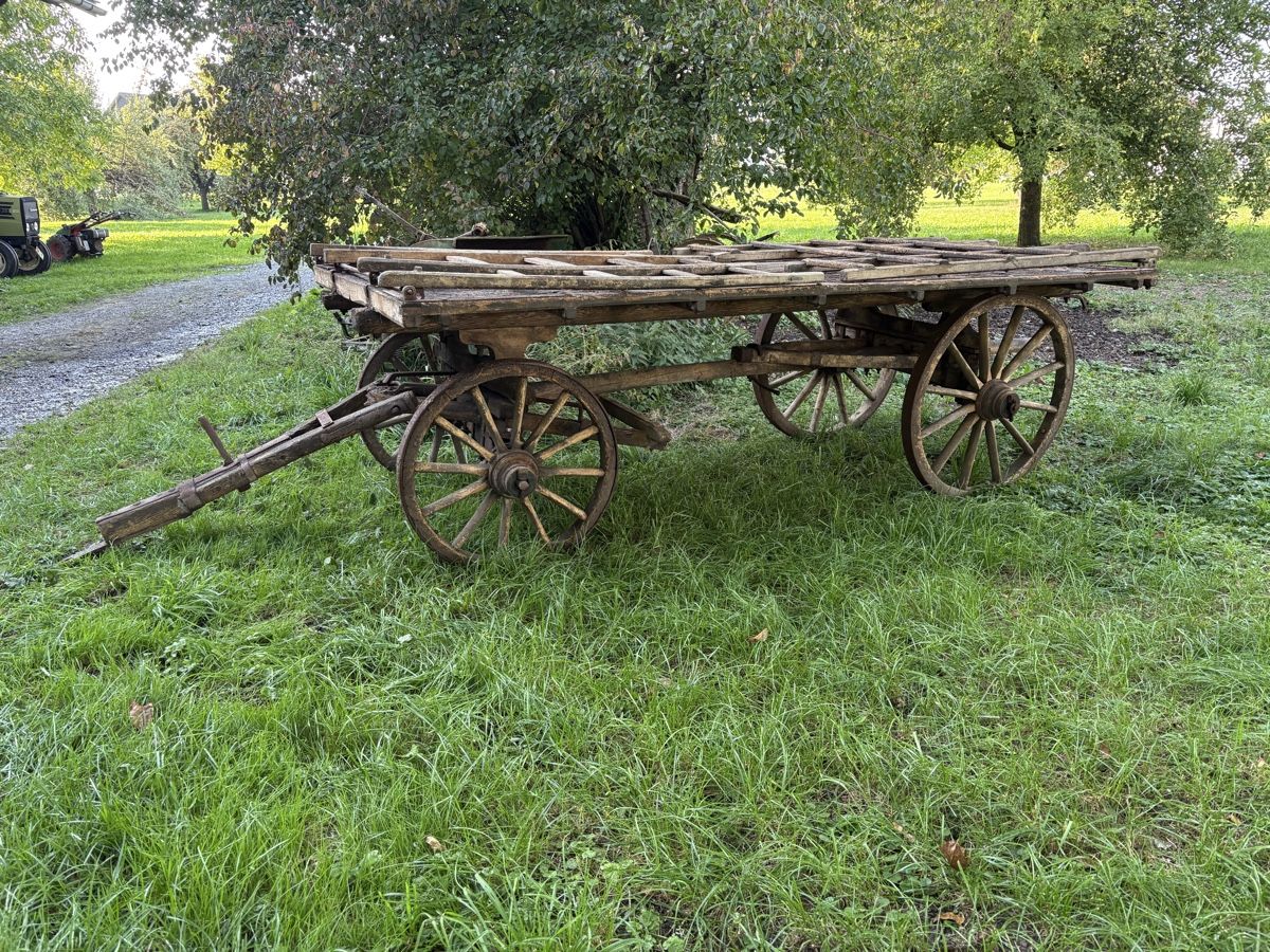 Rimorchi: Holzwagen Altertum – Usato da Wangen SZ venduto da Freilich89