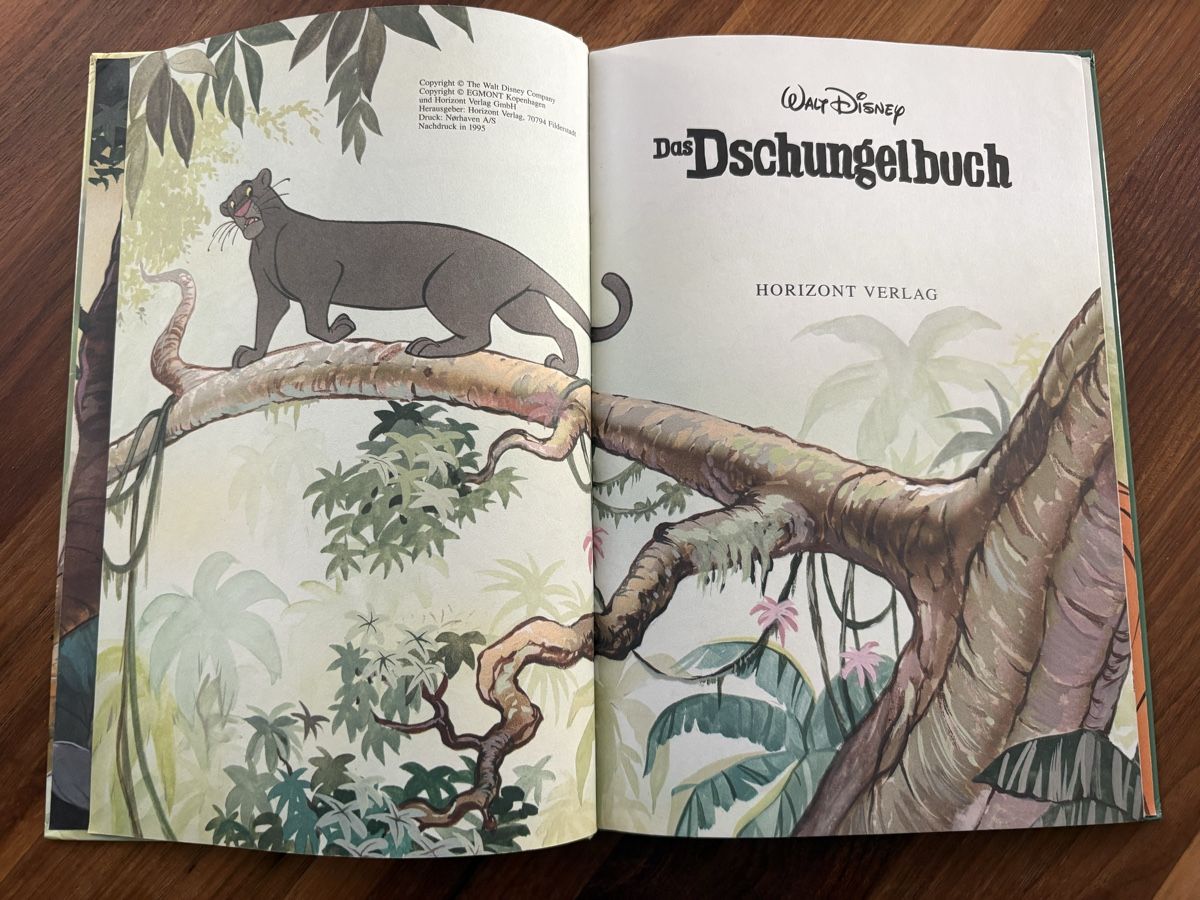 Libri: Walt Disney Das Dschungelbuch Kinderbuch – Usato da Beromünster venduto da msklef 1