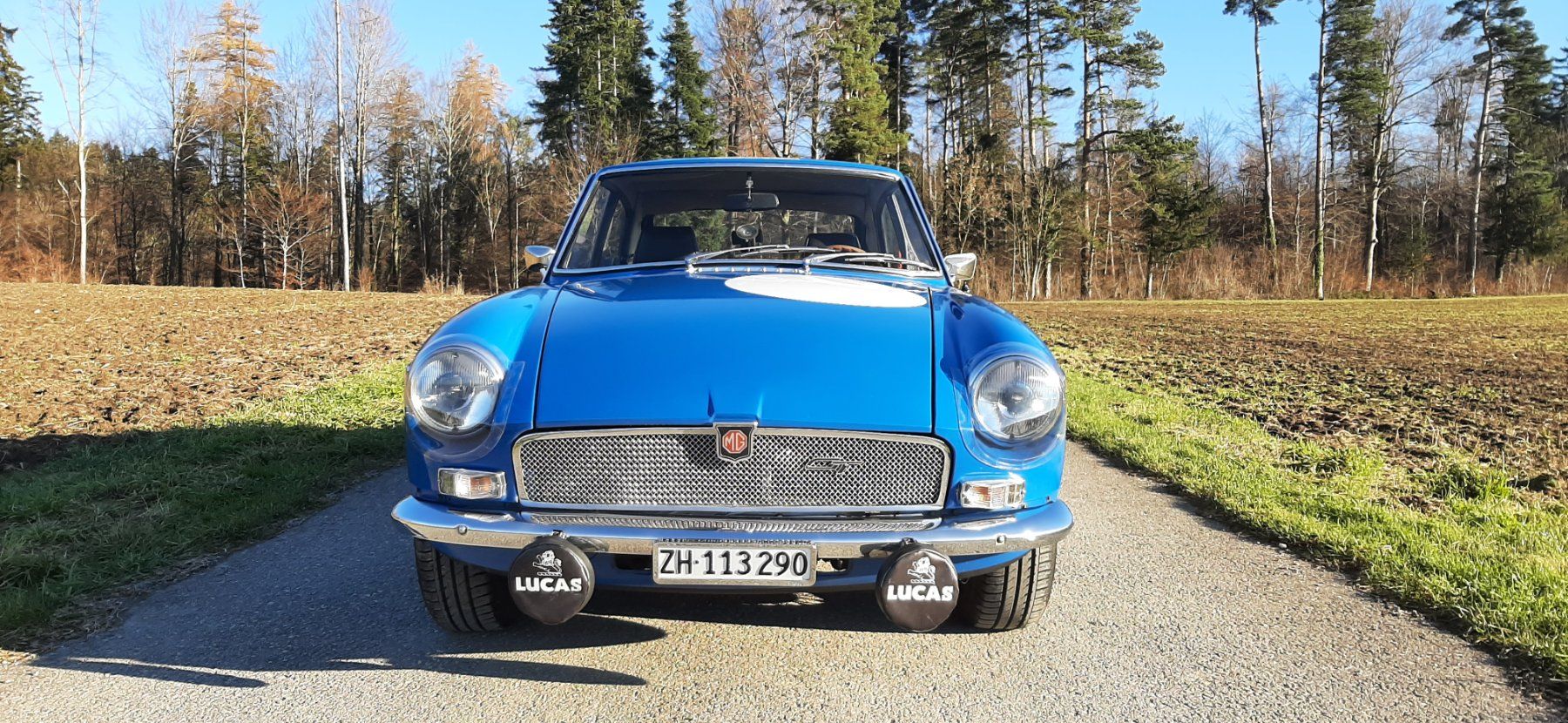 MG Automobili: MG B GT "S", Top Zustand! – Usato da Zürich venduto da kreatur01 1