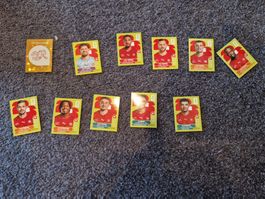 Panini WM 2026 SUI