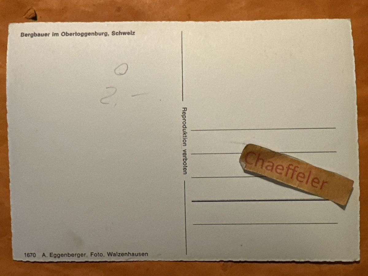 Cartoline postali: Bergbauer im Obertoggenburg, Schweiz – Usato da Zürich venduto da Chaeffeler 1