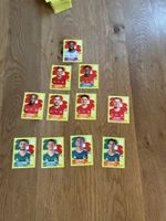 Panini 2026