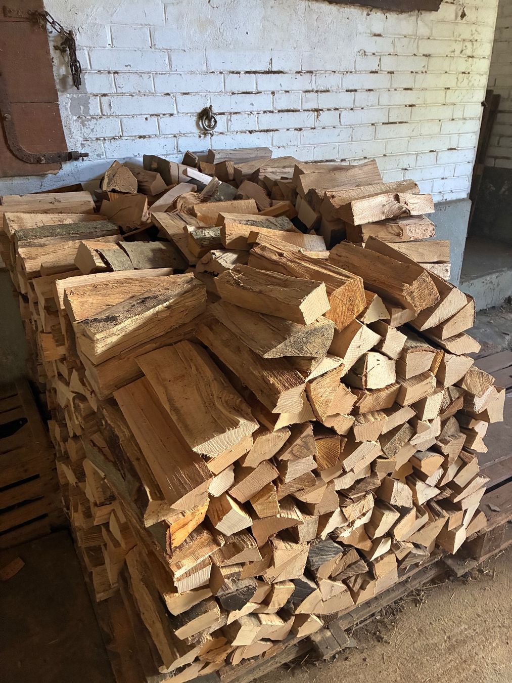 Articoli in legno: Brennholz Buche 1 Ster – Nuovo (secondo la descrizione) da Aarau venduto da val_yyx5