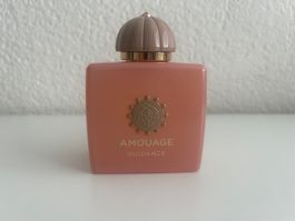 Amouage Guidance