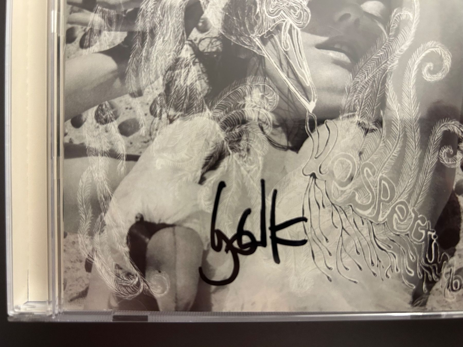 CD: Björk Vespertine - signiert – Usato da Dübendorf venduto da Kofetti_21 3