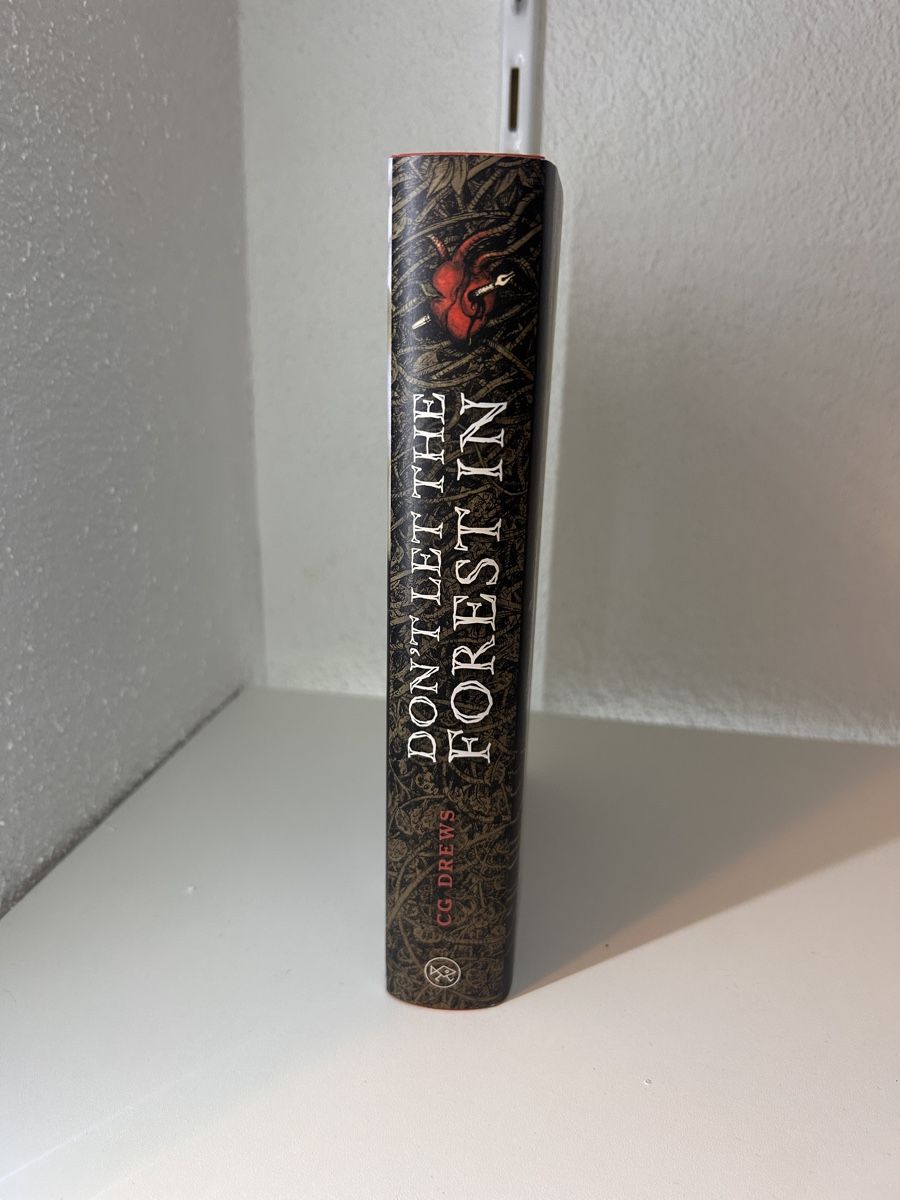 Libri: Dont let the Forest in - CG Drews – Nuovo (secondo la descrizione) da Wila venduto da lyn_t5f2 3