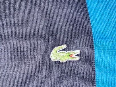 Lacoste Pulls & Sweat-shirts: Pull Lacoste taille M – D'occasion à Lausanne par LorenaOrtega 1